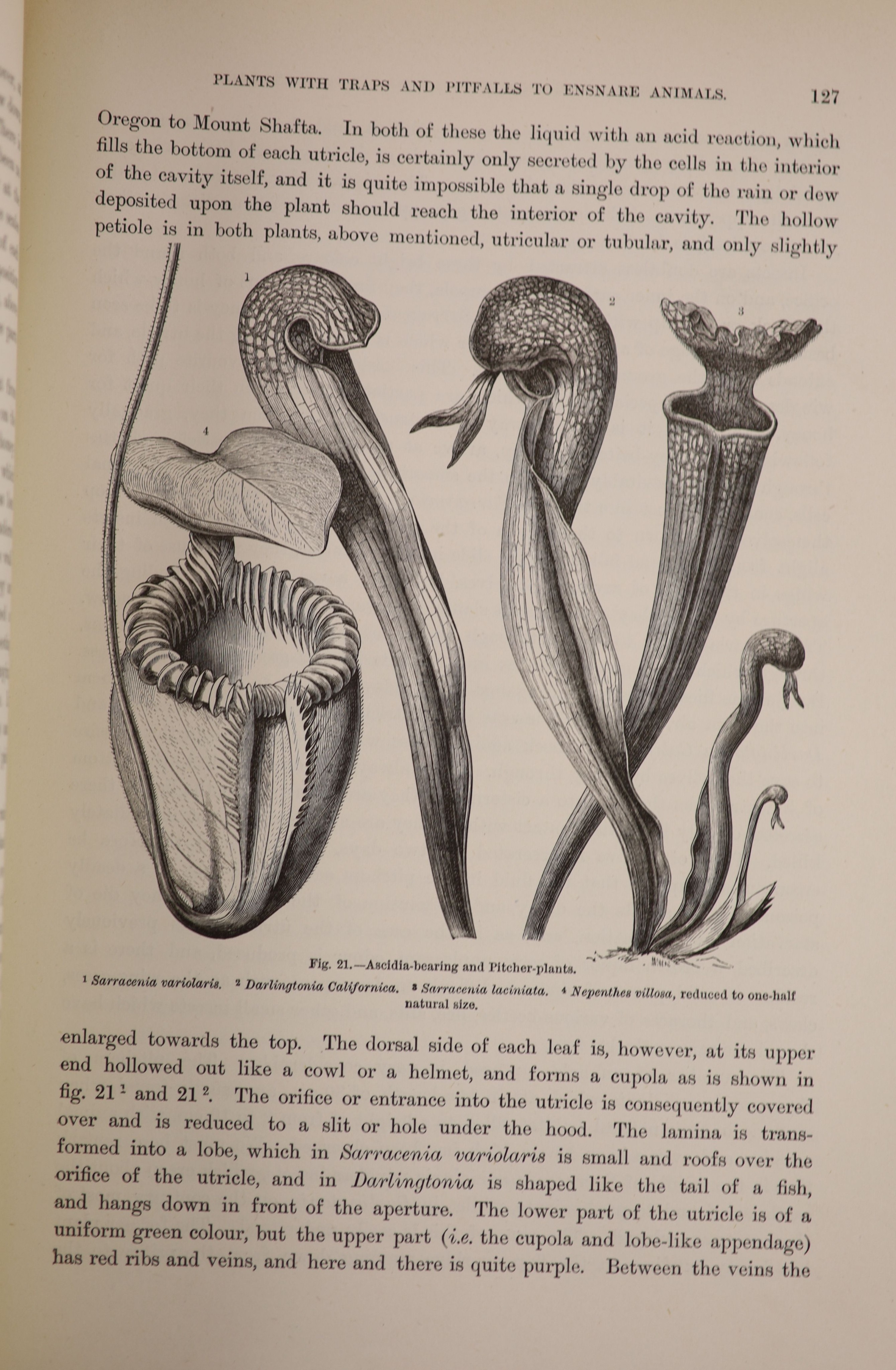 Kerner, Anton [translator], and, Oliver, F.W - The Natural History of Plants their Forms, Growth, Reproduction and Distribution. 2 vols. Complete with a quoted 200 text illustrations and with 16 coloured plates, many of